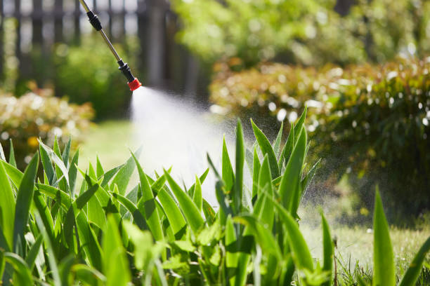 Tamper-Resistant Bait Stations for Rodents in Coolidge