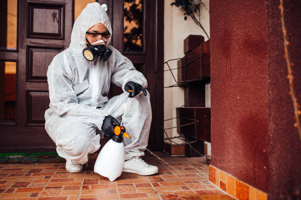 Attic and Crawl Space Rodent Treatment in Coolidge